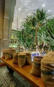 Туры в отель Golden Temple Boutique Туры в отель Golden Temple Boutique