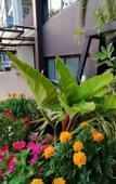 Туры в отель SiRi Ratchada Bangkok Туры в отель SiRi Ratchada Bangkok