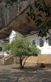 Туры в отель Sigiri La Veranda Lodge Туры в отель Sigiri La Veranda Lodge