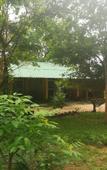 Туры в отель Sigiri La Veranda Lodge Туры в отель Sigiri La Veranda Lodge