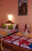 Туры в отель Sigiri La Veranda Lodge Туры в отель Sigiri La Veranda Lodge