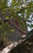 Туры в отель The Tamarind Resort Nusa Lembongan Bali Туры в отель The Tamarind Resort Nusa Lembongan Bali