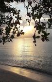 Туры в отель TSE Residence by Samui Emerald Condominiums Туры в отель TSE Residence by Samui Emerald Condominiums