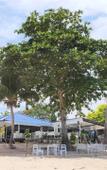 Туры в отель Assava Dive Resort Туры в отель Assava Dive Resort