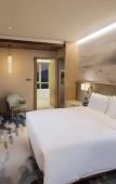 Туры в отель Hilton Garden Inn Hangzhou Lu'niao Туры в отель Hilton Garden Inn Hangzhou Lu'niao