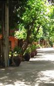 Туры в отель Baan Tawai Lanna Resort Туры в отель Baan Tawai Lanna Resort