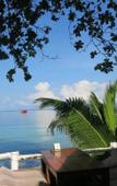 Туры в отель Flower Resort Туры в отель Flower Resort