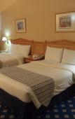 Туры в отель Grand Continental Flamingo Туры в отель Grand Continental Flamingo