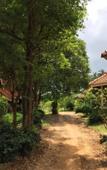 Туры в отель Aquavana Haad Rin Resort Туры в отель Aquavana Haad Rin Resort