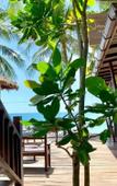 Туры в отель Sand in My Shoes Beach Loft Туры в отель Sand in My Shoes Beach Loft