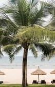 Туры в отель Mangala Zen Garden & Luxury Apartments Туры в отель Mangala Zen Garden & Luxury Apartments