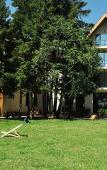 Туры в отель Отель Auroom Resort Туры в отель Отель Auroom Resort