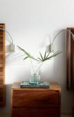 Туры в отель Kimpton Aluna Tulum by IHG Туры в отель Kimpton Aluna Tulum by IHG