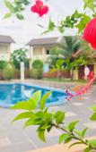 Туры в отель Shell Out Cenang Beach Resort Туры в отель Shell Out Cenang Beach Resort