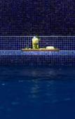 Туры в отель Novotel Mohammedia Туры в отель Novotel Mohammedia