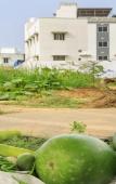 Туры в отель Hotel Arjunaa Туры в отель Hotel Arjunaa