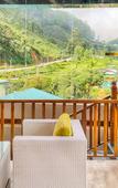 Туры в отель The Golden Ridge Hotel Туры в отель The Golden Ridge Hotel