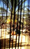 Туры в отель Hebergement Proche de Desert a Douz Туры в отель Hebergement Proche de Desert a Douz