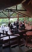 Туры в отель Sinharaja Forest Gate Туры в отель Sinharaja Forest Gate