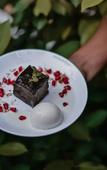 Туры в отель The Regalia Resort Туры в отель The Regalia Resort