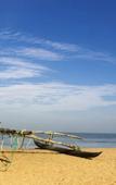 Туры в отель Daffodils Beach Negombo Туры в отель Daffodils Beach Negombo
