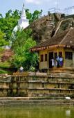 Туры в отель Silver Crown Nature Resort Туры в отель Silver Crown Nature Resort