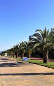 Туры в отель Blue Sky Hotel Туры в отель Blue Sky Hotel