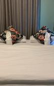 Туры в отель Busket Hostel Туры в отель Busket Hostel