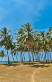 Туры в отель Ocean Cottage Kalametiya Туры в отель Ocean Cottage Kalametiya