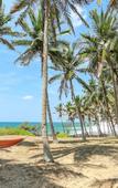 Туры в отель Ocean Cottage Kalametiya Туры в отель Ocean Cottage Kalametiya