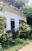 Туры в отель Thaaru Guest Туры в отель Thaaru Guest