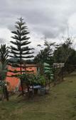 Туры в отель My Dream Resort Туры в отель My Dream Resort