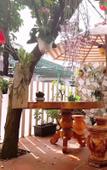 Туры в отель Nhu Y Homestay Туры в отель Nhu Y Homestay