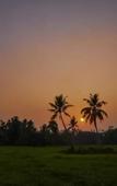 Туры в отель Green View Homestay Туры в отель Green View Homestay