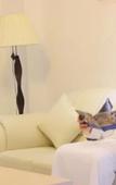 Туры в отель Al Sadarah Hotel Apartments Туры в отель Al Sadarah Hotel Apartments