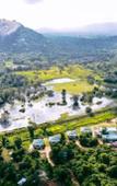 Туры в отель Sigiriya King's Resort Туры в отель Sigiriya King's Resort
