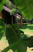 Туры в отель Ama Villa Homestay Туры в отель Ama Villa Homestay