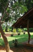 Туры в отель Ama Villa Homestay Туры в отель Ama Villa Homestay