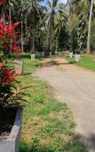 Туры в отель Ama Villa Homestay Туры в отель Ama Villa Homestay