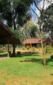 Туры в отель Ama Villa Homestay Туры в отель Ama Villa Homestay