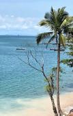 Туры в отель Villa Kelapa Langkawi Туры в отель Villa Kelapa Langkawi