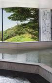 Туры в отель Izu Marriott Hotel Shuzenji Туры в отель Izu Marriott Hotel Shuzenji