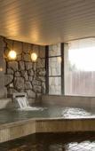 Туры в отель Izu Marriott Hotel Shuzenji Туры в отель Izu Marriott Hotel Shuzenji