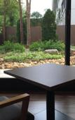 Туры в отель Izu Marriott Hotel Shuzenji Туры в отель Izu Marriott Hotel Shuzenji