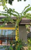 Туры в отель Greenery Resort Koh Tao Туры в отель Greenery Resort Koh Tao