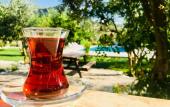 Туры в отель Olive Garden Pansiyon Туры в отель Olive Garden Pansiyon