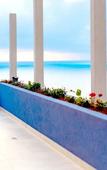 Туры в отель Blue Mediterranean Туры в отель Blue Mediterranean