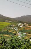 Туры в отель Mount Cottage Туры в отель Mount Cottage