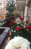 Туры в отель Damanto&Romanino Туры в отель Damanto&Romanino