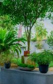 Туры в отель The Spring Villas Туры в отель The Spring Villas